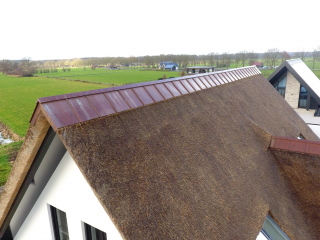 Koper op riet in Woudenberg