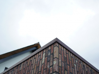 Koper op riet in Woudenberg