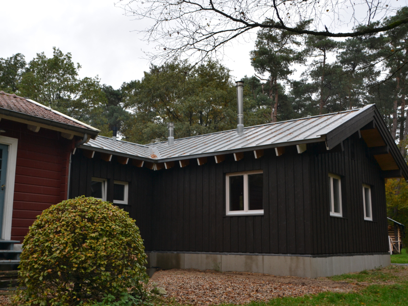 Zinken dak op scandinavische woning