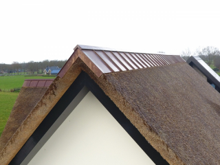 <h1>Koper op riet in Woudenberg</h1>