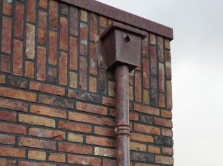 <h1>Koper op riet in Woudenberg</h1>