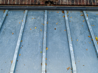 <h1>Roevendak Scherpenzeel</h1>