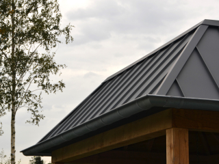 <h1>Veranda met zinken dak</h1>